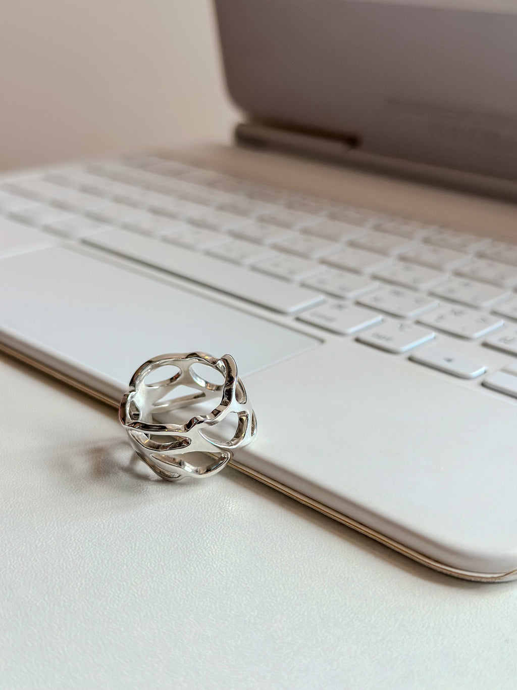 (Pre-order) Void Ring – 925 Sterling Silver | Dremera